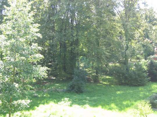 Objekt Blick Balkon Richtung Dreisam